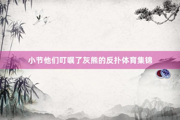 小节他们叮嘱了灰熊的反扑体育集锦