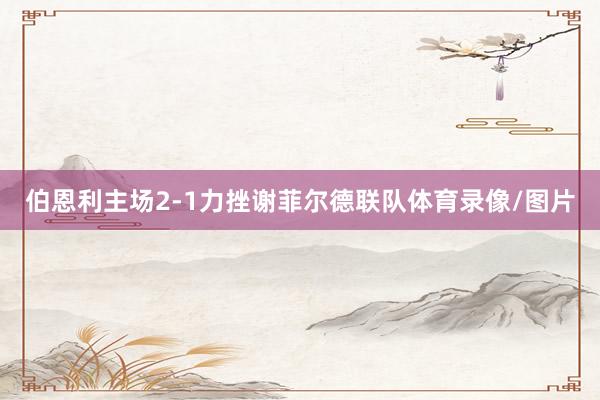 伯恩利主场2-1力挫谢菲尔德联队体育录像/图片