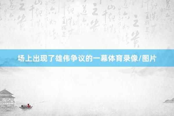 场上出现了雄伟争议的一幕体育录像/图片
