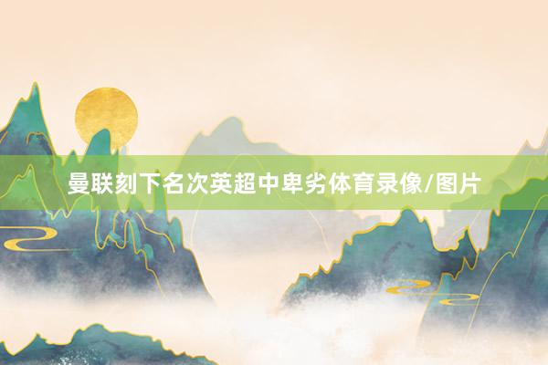 曼联刻下名次英超中卑劣体育录像/图片