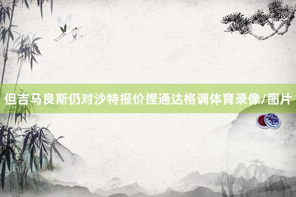 但吉马良斯仍对沙特报价捏通达格调体育录像/图片