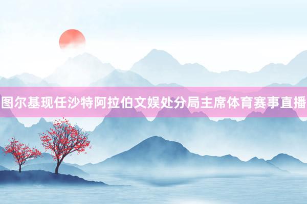 图尔基现任沙特阿拉伯文娱处分局主席体育赛事直播