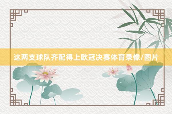 这两支球队齐配得上欧冠决赛体育录像/图片