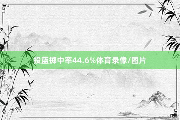 投篮掷中率44.6%体育录像/图片