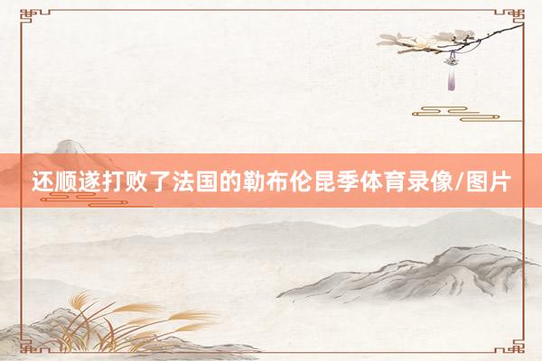 还顺遂打败了法国的勒布伦昆季体育录像/图片