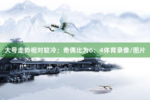 大号走势相对较冷；奇偶比为6：4体育录像/图片
