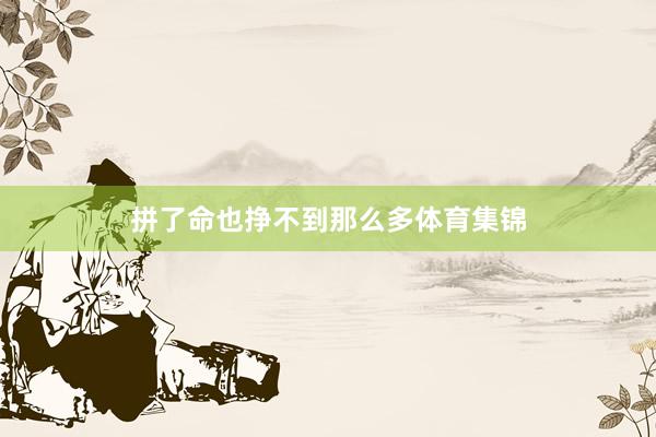 拼了命也挣不到那么多体育集锦