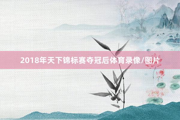 2018年天下锦标赛夺冠后体育录像/图片