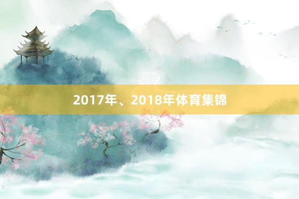 2017年、2018年体育集锦
