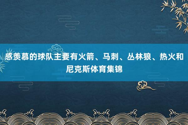 感羡慕的球队主要有火箭、马刺、丛林狼、热火和尼克斯体育集锦