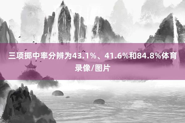 三项掷中率分辨为43.1%、41.6%和84.8%体育录像/