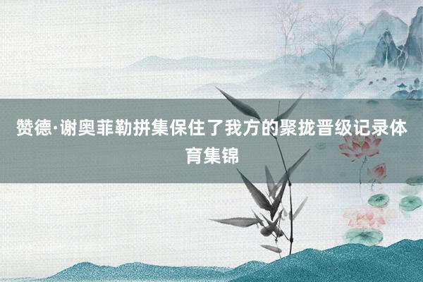 赞德·谢奥菲勒拼集保住了我方的聚拢晋级记录体育集锦