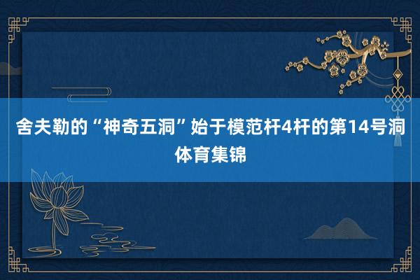 舍夫勒的“神奇五洞”始于模范杆4杆的第14号洞体育集锦