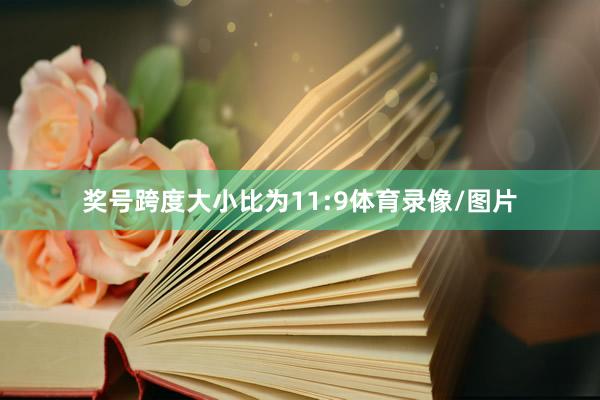 奖号跨度大小比为11:9体育录像/图片