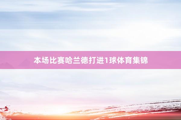 本场比赛哈兰德打进1球体育集锦