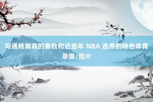 勾通杨瀚森的奏效和近些年 NBA 选秀的特色体育录像/图片