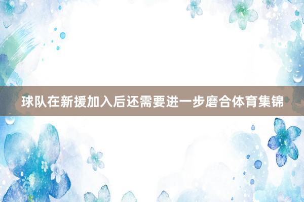 球队在新援加入后还需要进一步磨合体育集锦