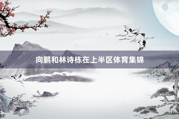 向鹏和林诗栋在上半区体育集锦