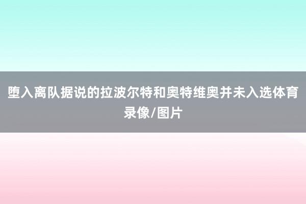 堕入离队据说的拉波尔特和奥特维奥并未入选体育录像/图片