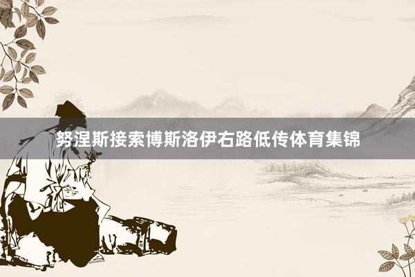 努涅斯接索博斯洛伊右路低传体育集锦