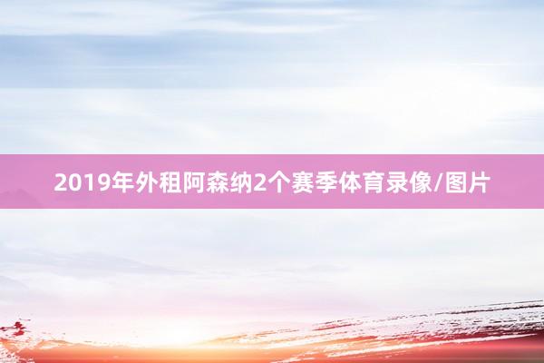 2019年外租阿森纳2个赛季体育录像/图片