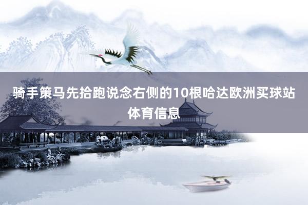 骑手策马先拾跑说念右侧的10根哈达欧洲买球站体育信息