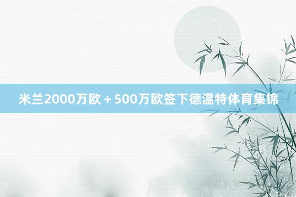 米兰2000万欧＋500万欧签下德温特体育集锦