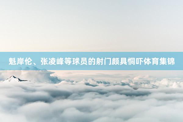 魁岸伦、张凌峰等球员的射门颇具恫吓体育集锦