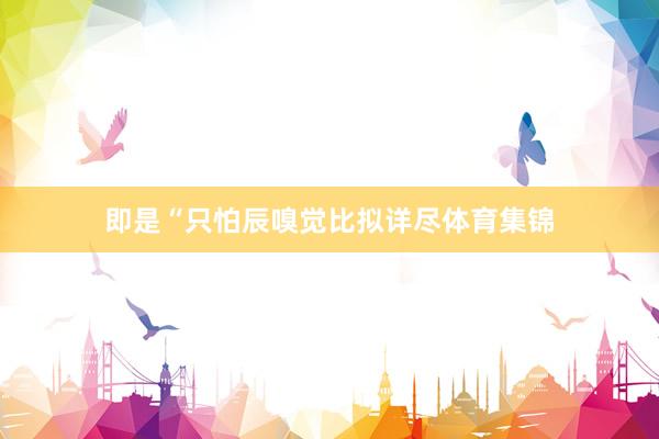 即是“只怕辰嗅觉比拟详尽体育集锦