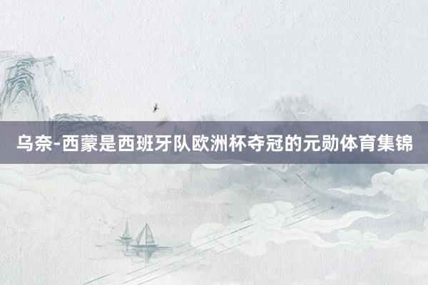 乌奈-西蒙是西班牙队欧洲杯夺冠的元勋体育集锦