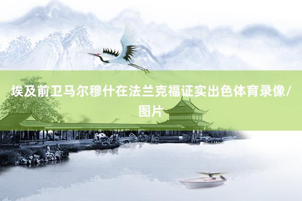埃及前卫马尔穆什在法兰克福证实出色体育录像/图片