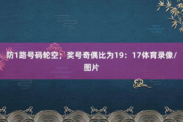 防1路号码轮空；奖号奇偶比为19：17体育录像/图片