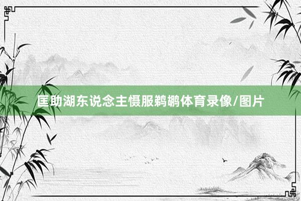 匡助湖东说念主慑服鹈鹕体育录像/图片
