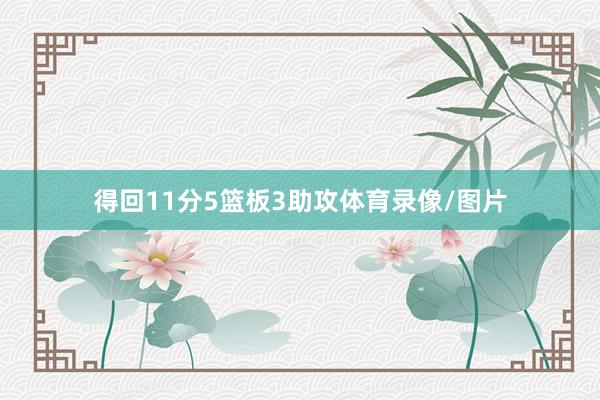 得回11分5篮板3助攻体育录像/图片