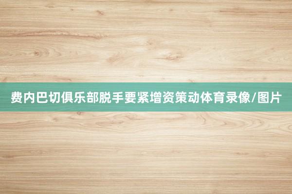 费内巴切俱乐部脱手要紧增资策动体育录像/图片