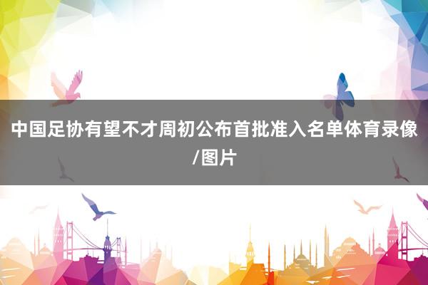 中国足协有望不才周初公布首批准入名单体育录像/图片
