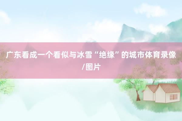 广东看成一个看似与冰雪“绝缘”的城市体育录像/图片