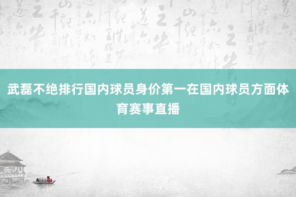 武磊不绝排行国内球员身价第一在国内球员方面体育赛事直播
