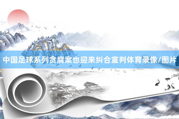 中国足球系列贪腐案也迎来纠合宣判体育录像/图片