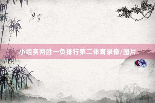 小组赛两胜一负排行第二体育录像/图片
