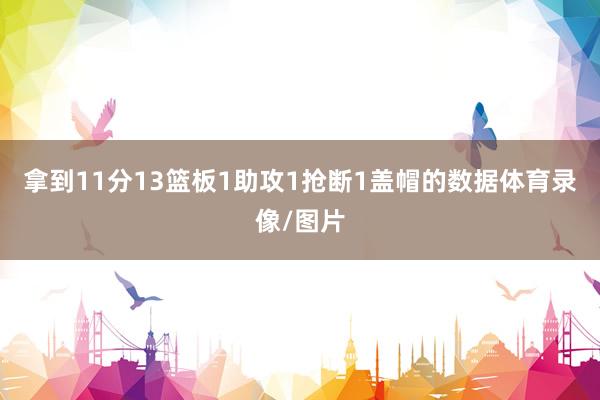 拿到11分13篮板1助攻1抢断1盖帽的数据体育录像/图片