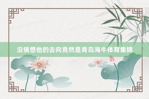 没猜想他的去向竟然是青岛海牛体育集锦