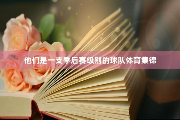 他们是一支季后赛级别的球队体育集锦