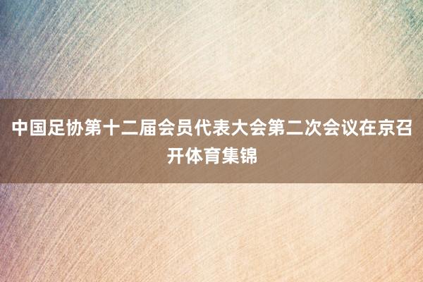 中国足协第十二届会员代表大会第二次会议在京召开体育集锦