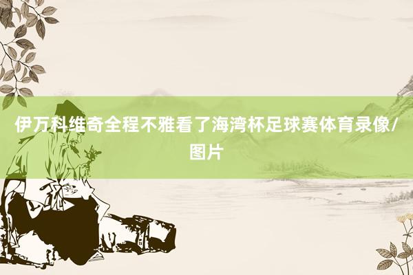 伊万科维奇全程不雅看了海湾杯足球赛体育录像/图片