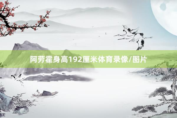 阿劳霍身高192厘米体育录像/图片