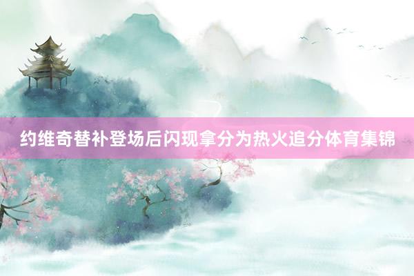 约维奇替补登场后闪现拿分为热火追分体育集锦