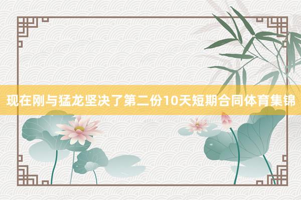 现在刚与猛龙坚决了第二份10天短期合同体育集锦