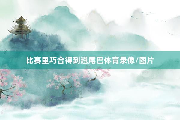 比赛里巧合得到翘尾巴体育录像/图片