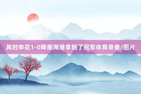其时申花1-0降服海港拿到了冠军体育录像/图片
